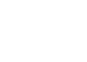 Logo Terra Vale Consultoria Ambiental